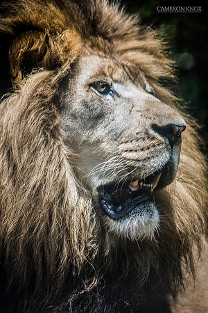 _DSC1699-Edit-Edit