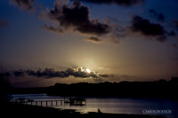 Landscapes