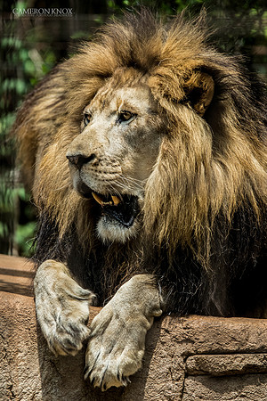 _DSC1716-Edit-2