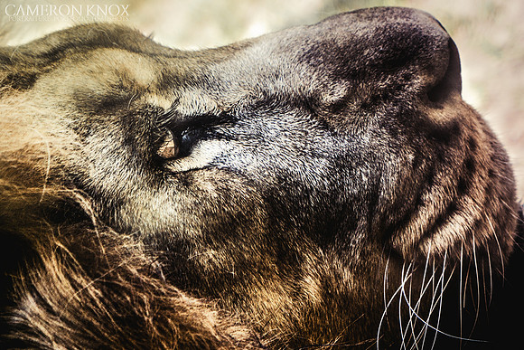 _DSC1736-Edit-Edit